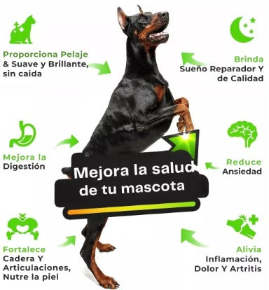 PET HEMP OIL OMEGA
