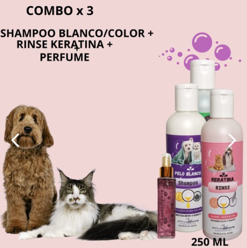 SHAMPOO BLANC/COLOR+RINSE KERAT. +PERFUM